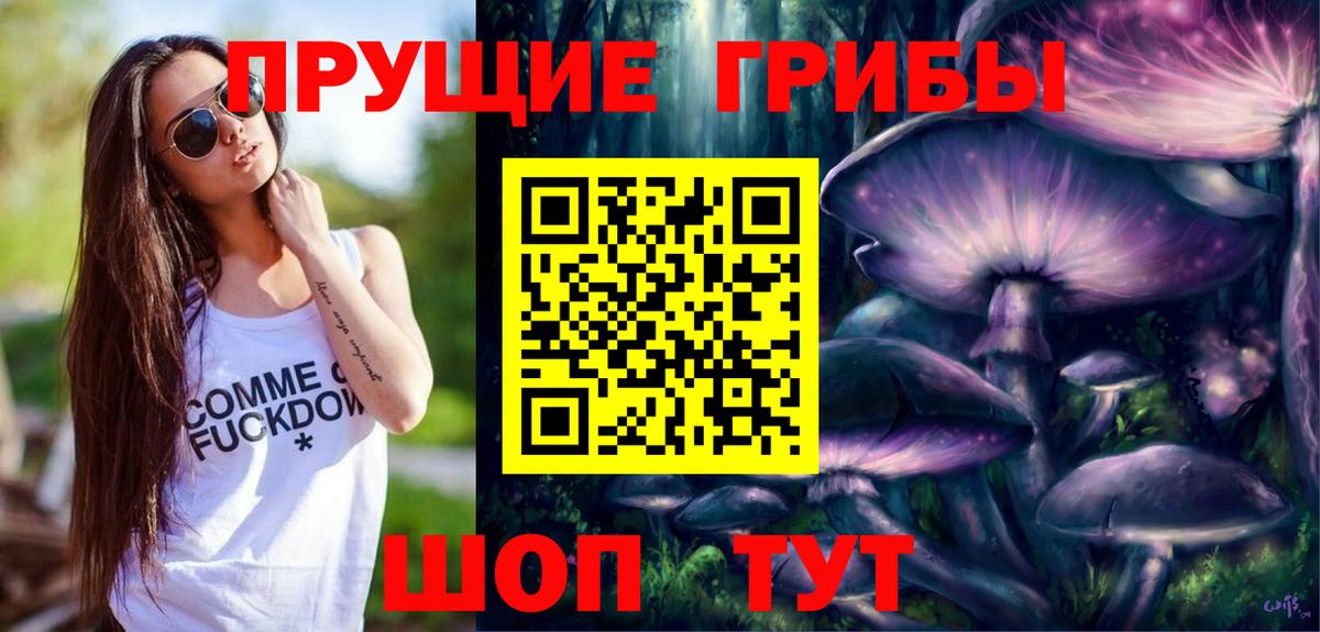 Псилоцибиновые грибы Cubensis Великие Луки