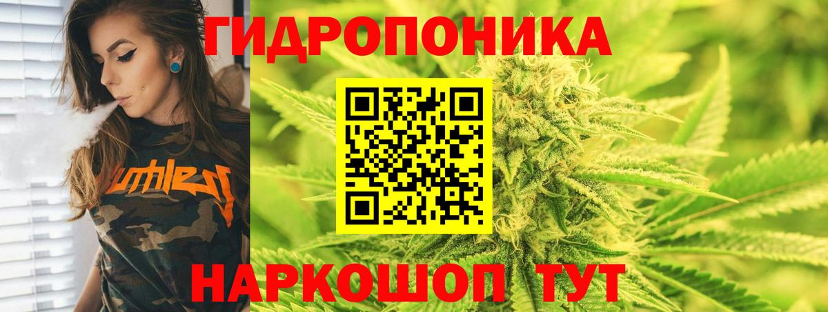 Каннабис марихуана Великие Луки